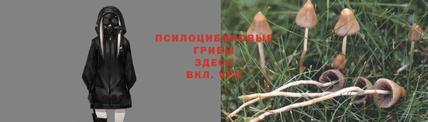 a pvp Приозерск