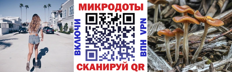 Купить  Кола  Галлюциногенные грибы Cubensis 