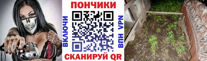 Купить где  Кола  Каннабис конопля 
